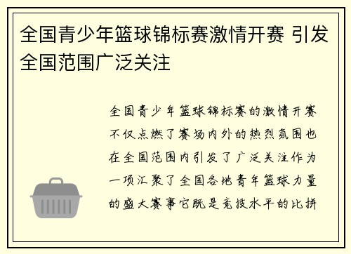 全国青少年篮球锦标赛激情开赛 引发全国范围广泛关注