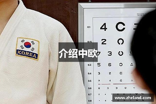 介绍中欧